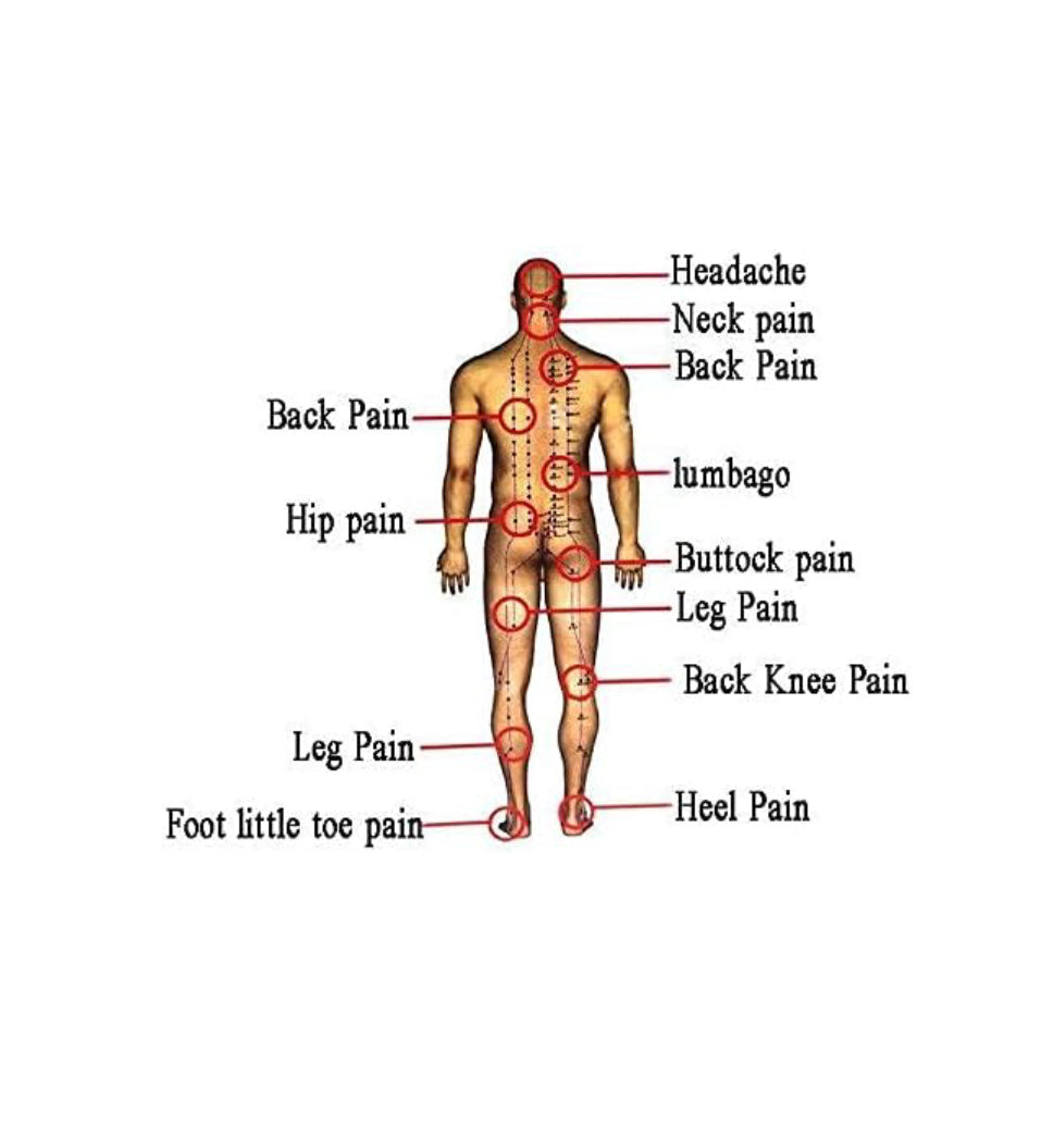 Chauffant Anti-Douleur Soulager Douleurs de Dos Cou Épaule Jambes Musculaire Lombaire Arthrite Rhumatisme （40 Patchs/ 5 Sachets）