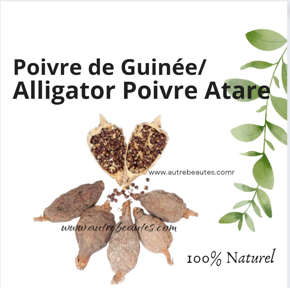 Graines de Piment Alligator - Poivre de Guinée - Efom Wisa 50g –  Autrebeautes